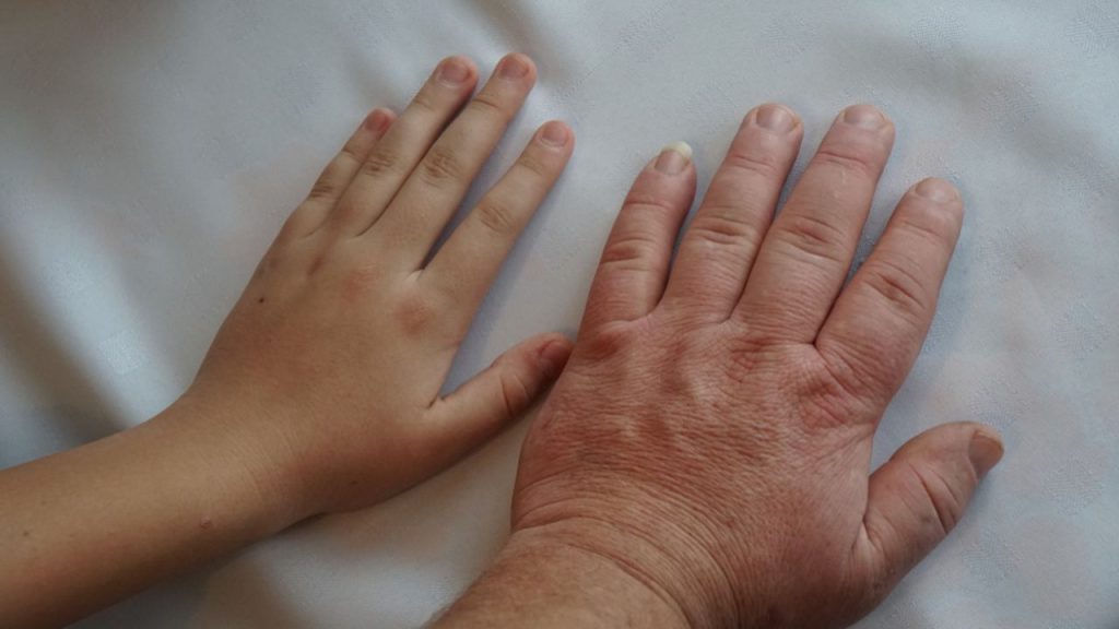 insan-uzuvlari-yeniden-buyuyebilir-mi?-cevap-axolotl’da-gizli