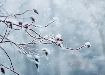 Meteoroloji’den 13 İl İçin Kar Uyarısı