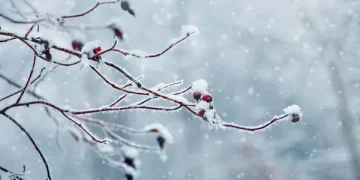 Meteoroloji’den 13 İl İçin Kar Uyarısı