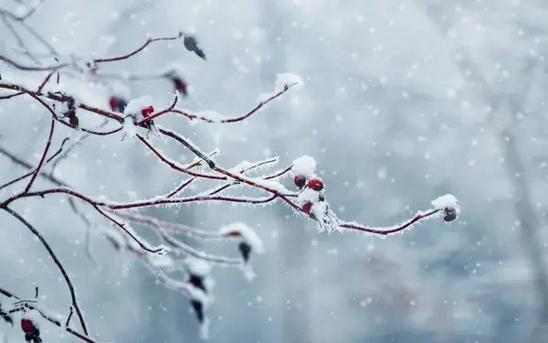 Meteoroloji’den 13 İl İçin Kar Uyarısı