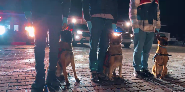 “Avrupa’nın Escobar’ı”na Dev Operasyon: Baybaşin Suç Örgütünün Mal Varlığına El Konuldu