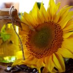 Türkiye’den Ayçiçeği Yağı İhracatı: İlk Çeyrekte 316 Milyon Dolarlık Gelir