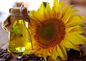 Türkiye’den Ayçiçeği Yağı İhracatı: İlk Çeyrekte 316 Milyon Dolarlık Gelir