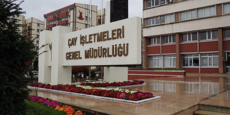 ÇAYKUR’da Sözleşmeli Personel Atamalarında 40 Yaş Şartı Kaldırıldı