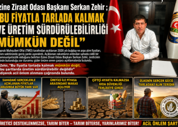 Ezine Ziraat Odası Başkan Zehir’den TMO’ya Sert Tepki: “Bu Fiyatla Tarlada Kalmak ve Üretim Sürdürülebilirliği Mümkün Değil!”
